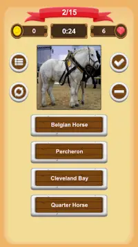 Horse Quiz Screen Shot 2