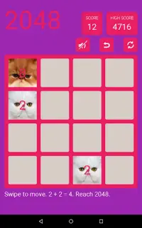 2048 Cute Cats Screen Shot 7