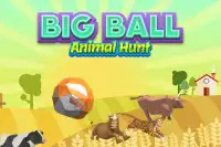 Fun big run  happy animal baller  - Big Ball Screen Shot 0