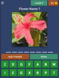 Guess Flowers Trivia Screen Shot 7