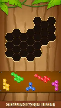 hexa puzzel - blok ontploffing Screen Shot 2