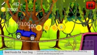 Jungle Car Race Screen Shot 3