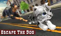 Hond versus kat vecht spel Screen Shot 0