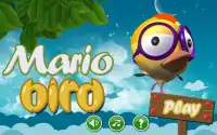 Mario Bird Screen Shot 0