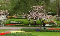 Beautiful Flower Garden Escape Screen Shot 2