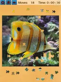 Fish Jigsaw Puzzles Screen Shot 4