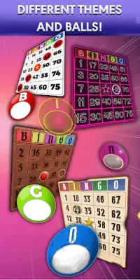Bingo - Offline Bingo Game Screen Shot 3