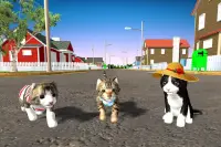 Cat Simulator Game 2020 :Kitty Running Screen Shot 17