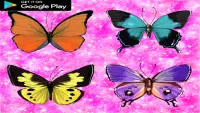 Butterfly Crush Screen Shot 0