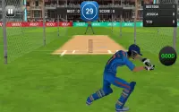 MSD: World Cricket Bash Screen Shot 5