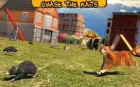 Street Cat Sim 2016 Screen Shot 5