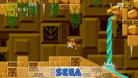 Sonic the Hedgehog™ Classic Screen Shot 2