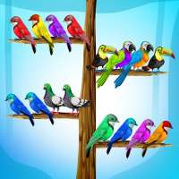 Color Bird Sort - Puzzle-Spiel