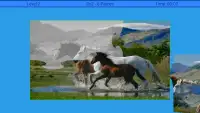 Horses Puzzle Screen Shot 0