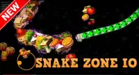 Snake Zone : Ular Alaska.io Screen Shot 1