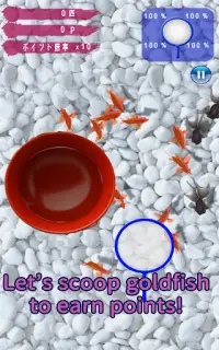 Goldfish Dream　goldfish scoop & goldfish breeding Screen Shot 6