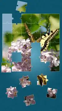 Papillon Jeux De Puzzle Screen Shot 4