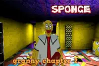 Sponge Granny Chapter 2: Scary & Horror game Screen Shot 2