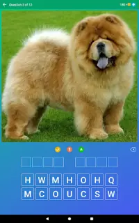 Dog Quiz: Guess the Breed — Game, Pictures, Test Screen Shot 16