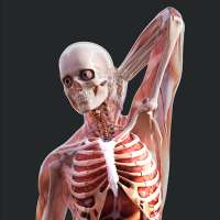Human Anatomy 4D-Mixed Realit‪y
