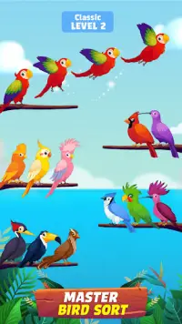Bird Sort - Color Birds Game Screen Shot 9