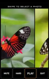 Beautiful Butterfly Jigsaw Puzzle Game Screen Shot 4