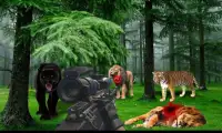 Animal Safari  Shooter Screen Shot 3