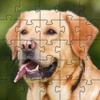 Puzzle di cani 🧩🐕🧩🐶🧩