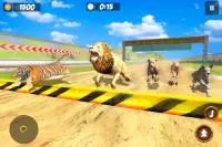 Animal Racing Simulator: Wild Animals Race Game Screen Shot 5