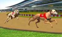 Ultimate Dog Racing Screen Shot 2