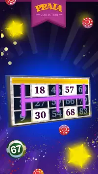 Video Bingo Ipanema Screen Shot 3