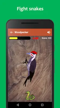 Woodpecker simulator Screen Shot 2