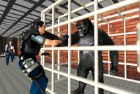 Gorilla Escape City Jail Survival Screen Shot 6