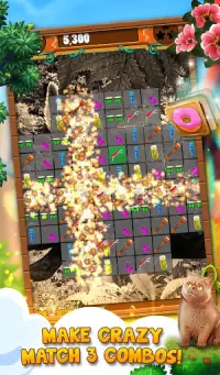Cool Cats: Match 3 Quest - New Puzzle Game Screen Shot 6
