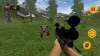 Bear Hunting Challenge Screen Shot 1