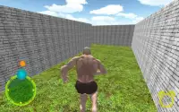 Maze Bricks 3D Screen Shot 5