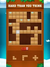 Block Wodu -  Puzzle Game Screen Shot 8