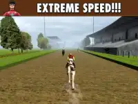 Equestrian Horse Racing Game Screen Shot 6