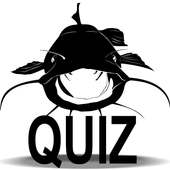 Flathead Catfish Quiz
