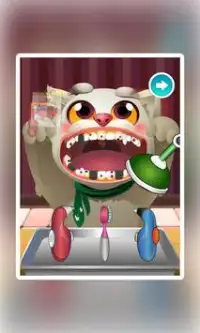 Cat Dental-Crazy Dentist Screen Shot 1