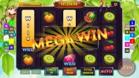 Fruits and Crowns : Slot Machine 2020 Screen Shot 0