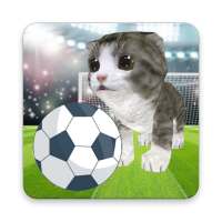 Kitty Soccer