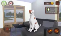 Parsons Dog Simulator Screen Shot 5