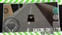 Sport Car Simulator Screen Shot 5