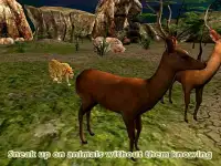 Angry Cheetah Attack Sim 3D Screen Shot 14