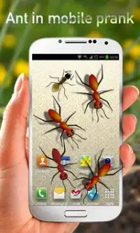 Ants in Mobile Prank Screen Shot 1