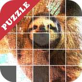 Sloth Farm Puzzle Game