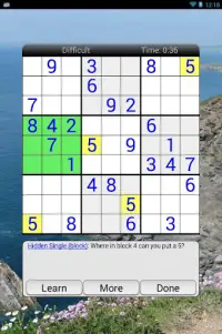 Enjoy Sudoku Screen Shot 1