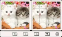 Adivina el Gato: Rompecabezas de Azulejos Screen Shot 5