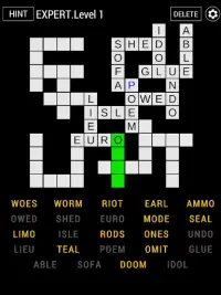Fill-Ins Puzzle Game Screen Shot 5